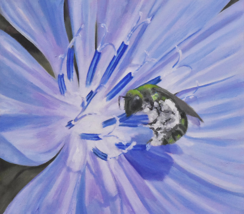 Chicory with orchard bee, floral, flower painting, oil on canvas, original art by Linda Staiger of Staiger Studio, bee, honeybee, pollinator