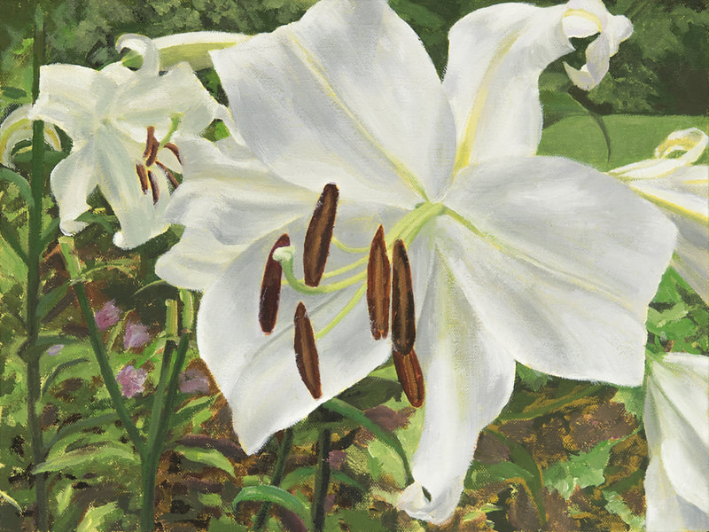 White Lilies, White Glory, Beautiful Painting At Staiger Studio