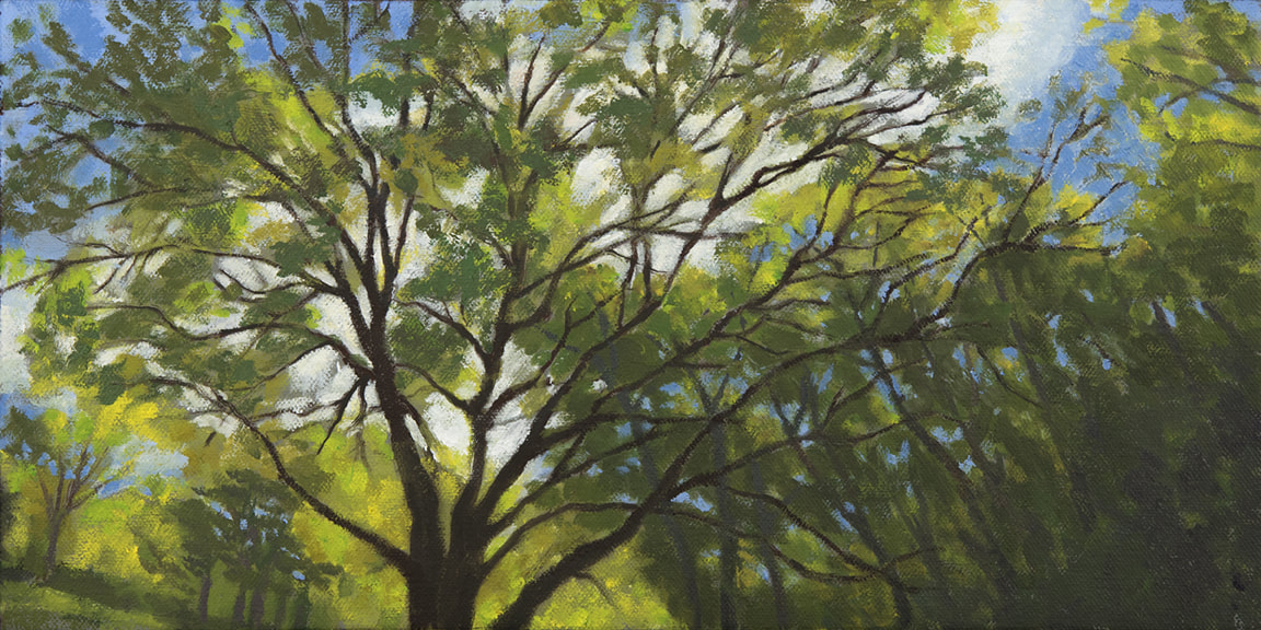 Branching Tree, Green And Blue, Under The Sky, Bright Sun