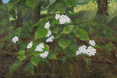 Painting Of Catalpa, Tiny White Flowers By Linda
