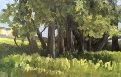 Beautiful Tree Painting, Staiger Studio 434-962-8463
