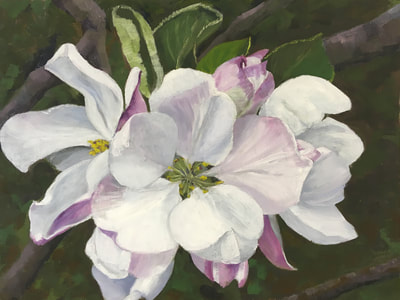 White Blooming Flowers, Oil On Canvas, Staiger Studio, Palmyra, VA