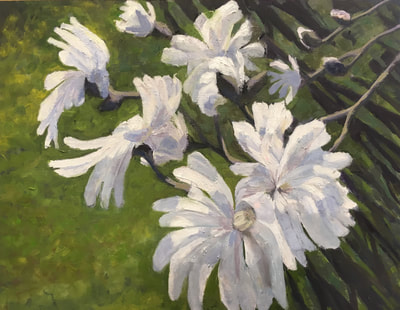 Painting Of Stellate Magnolia Keswick, White Beauty