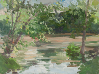 James At Flood, Painting By Linda, 434-962-8463