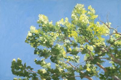 Forest trees, Green leaves, blue sky, oil painting by Linda 