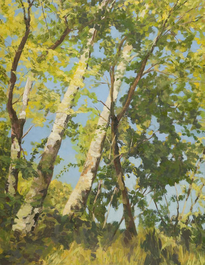 Sycamore, Forest Landscape, Sun, Trees, Beautiful Paintings 