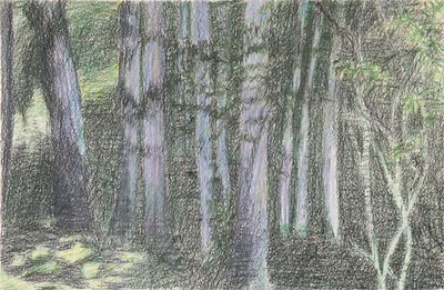 Sketch, Forest, Trees Sketch, Chalk, Oil Painting